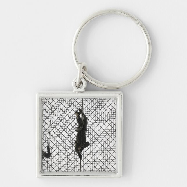 rekrytering som kompletterar ett hinder fyrkantig silverfärgad nyckelring (Framsidan)