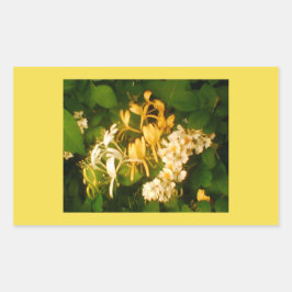 Rektangulär märkning av honeysuckle Vild Vår Rektangulärt Klistermärke