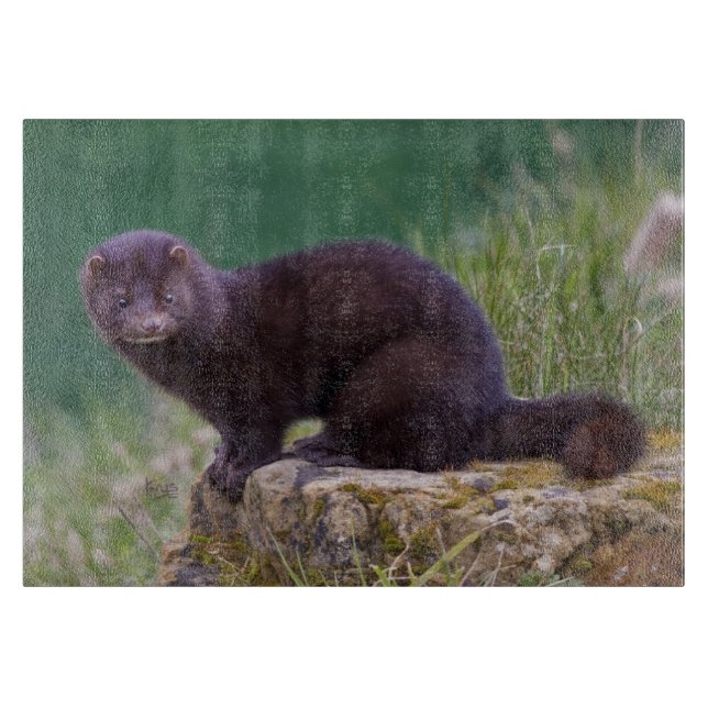 Rektangulär skärbräda för amerikanMink (Framsidan)