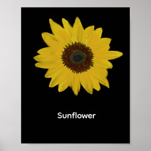 Rektangulärt Poster av solros