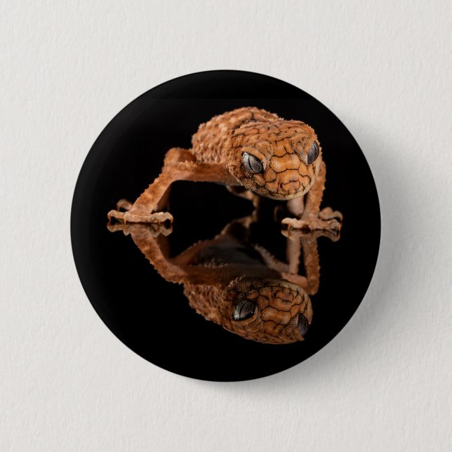 Rektivering av lilla Cute Lizard med reflektion Knapp (Framsida)
