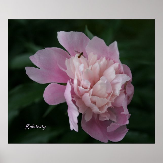 Relativitetsrambara bilder Poster (Framsidan)