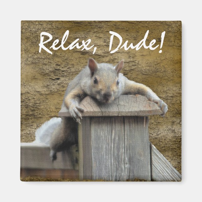 RELAX, DUDE! Roligt av magnet för ekorrerelaxering (Framsidan)