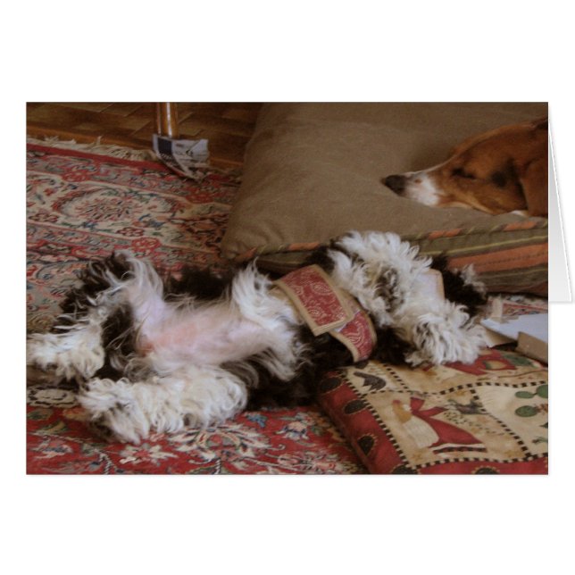 RELAX! HÄLSNINGSKORT (Framsidan Horizontal)