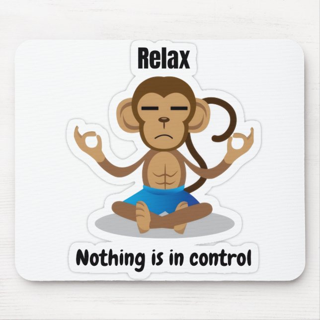 Relax Nothing Is In Control – Funny Meditating  Musmatta (Framsidan)