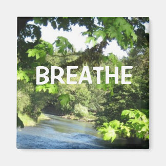 Relaxationsbild Magnet