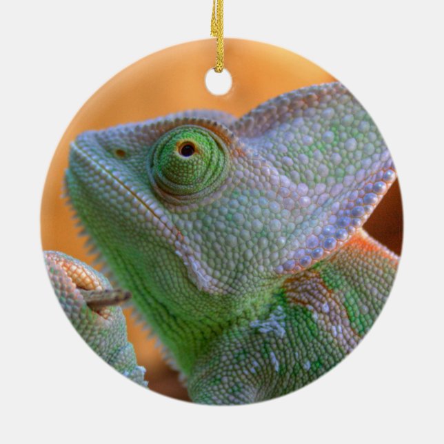Relaxed Veiled Chameleon Julgransprydnad Keramik (Baksidan)