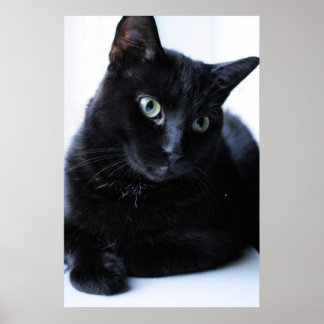 Relaxin Poster