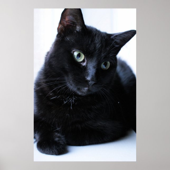Relaxin Poster (Framsidan)