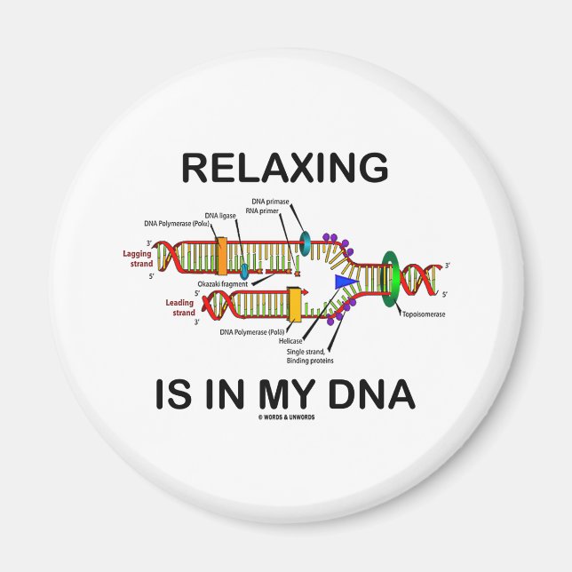 Relaxing finns i mitt DNA (DNA-replikering) Magnet (Framsidan)