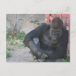 Relaxing Gorilla Vykort