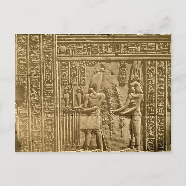 Relief som skildrar Ptolemy VIII Euergetes II Vykort (Framsida)