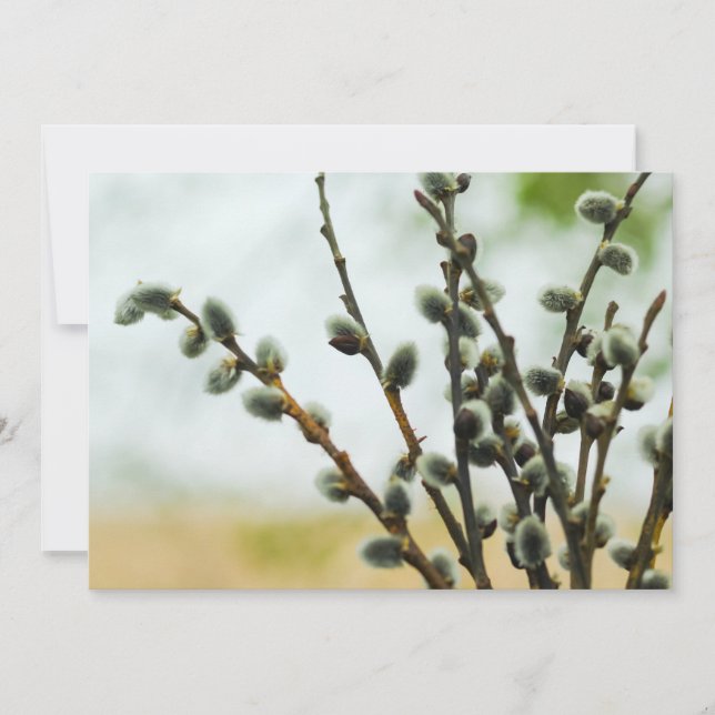 Religiösa Påsk Card med Pussy Willow Grenar Julkort (Framsida)