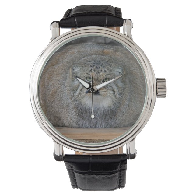 Reloj de Cuero de gato Palla Armbandsur (Framsida)