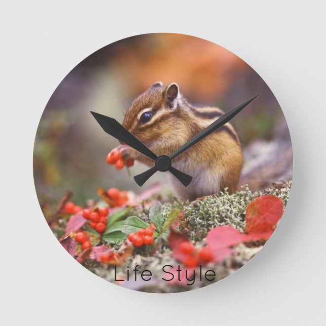 Reloj de pared Chipmunk Rund Klocka (Framsida)