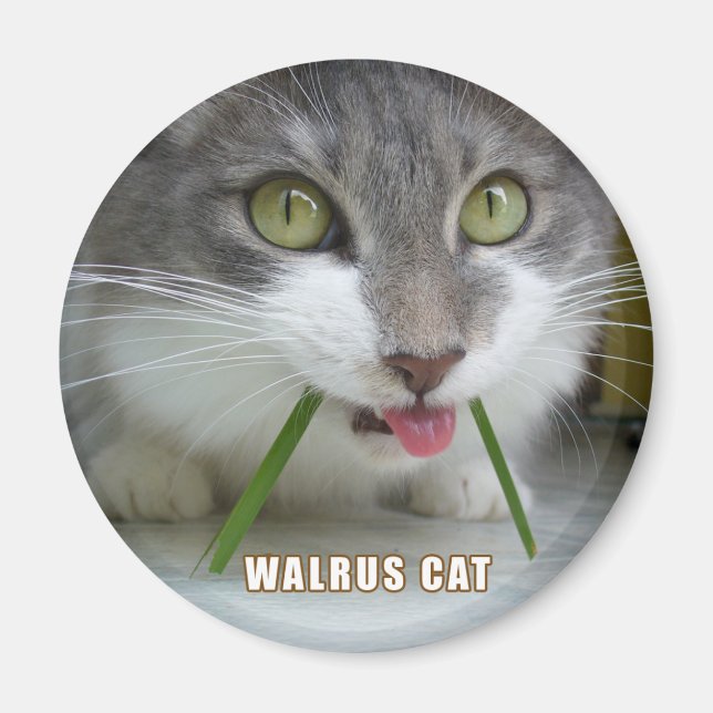 Rema Magnet 011 (Framsidan)