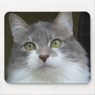 Rema Mousepad 003 Musmatta