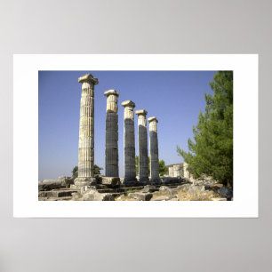 Remainingsna av forntida Rome Poster
