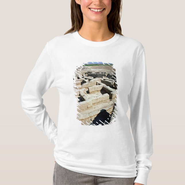 Remains av hus t-shirt (Framsida)