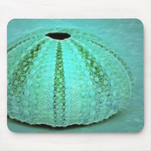 remains musmatta (Framsidan)