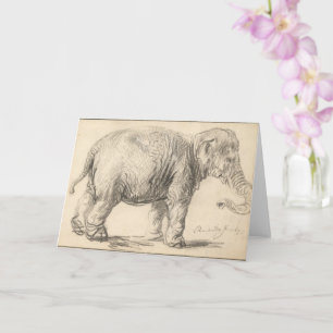 Rembrandt, An elephant, 1637, Fine Art Kort