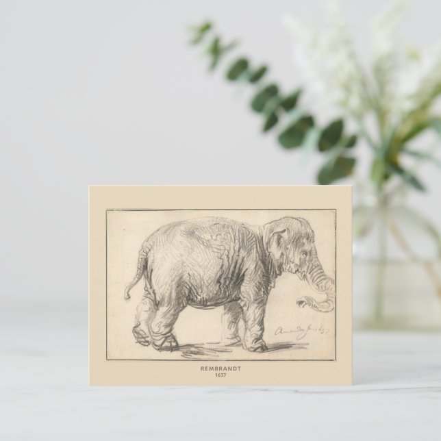 Rembrandt, An elephant, 1637, Fine Art Vykort (Stående Fram)