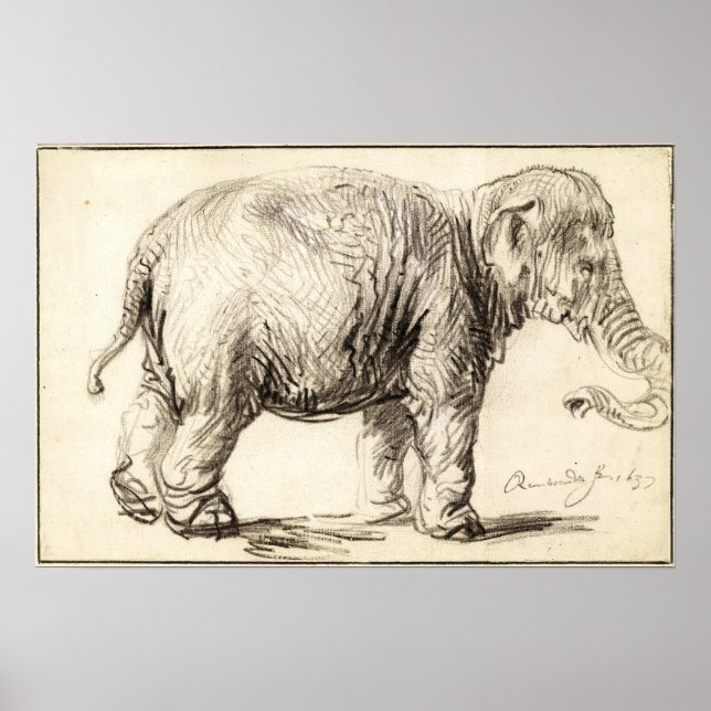 Rembrandt - Elephant 1637 Poster (Framsidan)