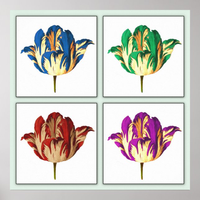 Rembrandt Tulip-popup-Poster Skriv ut Poster (Framsidan)