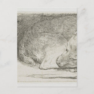 Rembrandts pip vykort