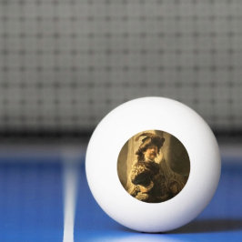 Rembrandts Standardbärare Pingisboll