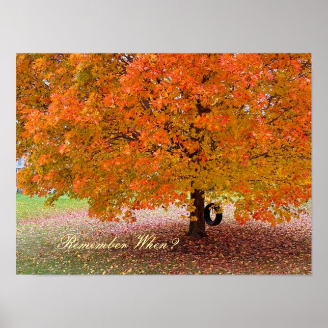 Remember When? Poster (Framsidan)