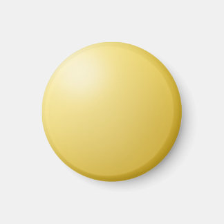 ReminderDot Sol Magnet