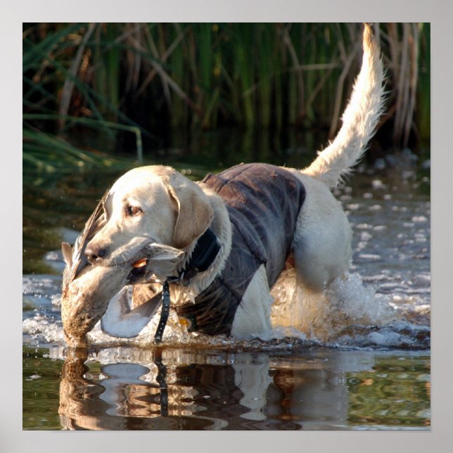 Remington Poster (Framsidan)