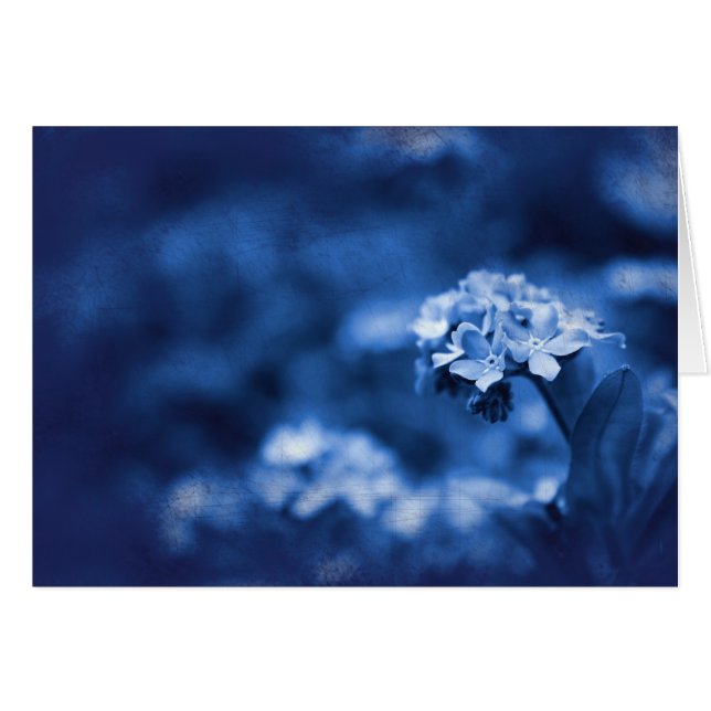 Reminiscence Hälsningskort (Framsidan Horizontal)