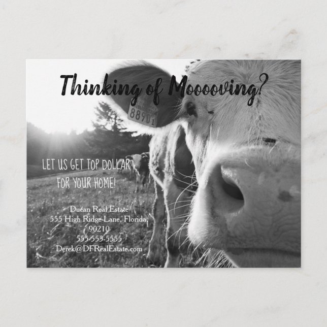 remittering av jordbrukskor i gods marknadsföring  vykort (Framsida)