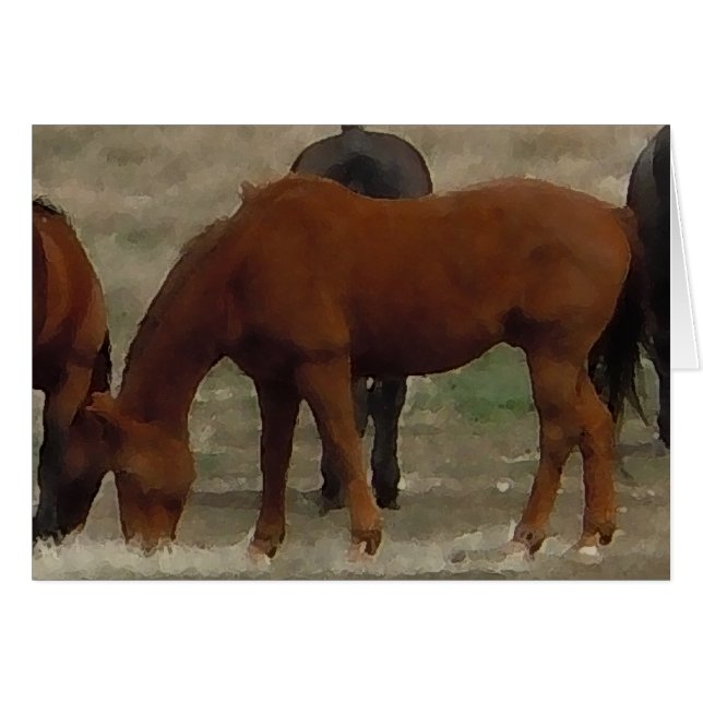 Remuda Herd Grazes - Ranch Cow Horses - Blank Hälsningskort (Framsidan Horizontal)