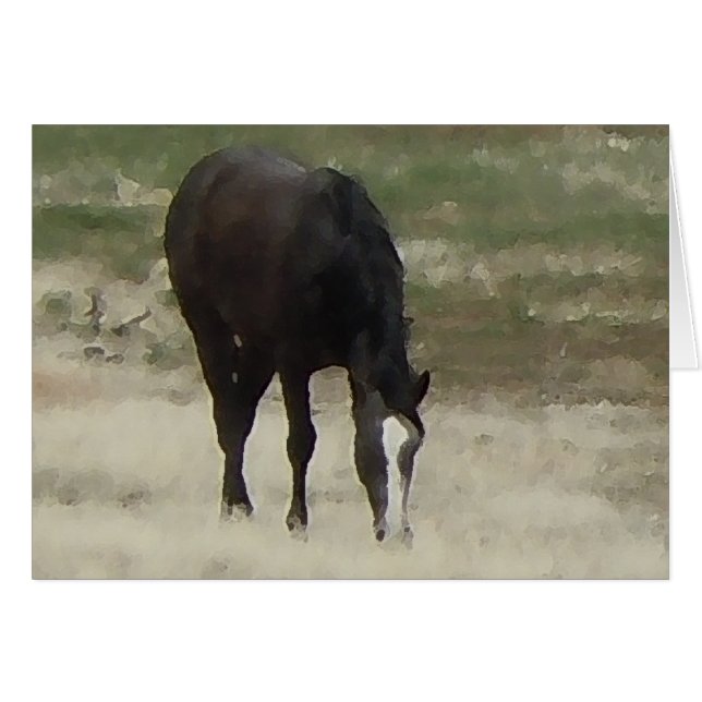 Remuda Herd Grazes - Ranch Cow Horses - Blank Hälsningskort (Framsidan Horizontal)