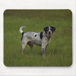 Ren glädje musmatta