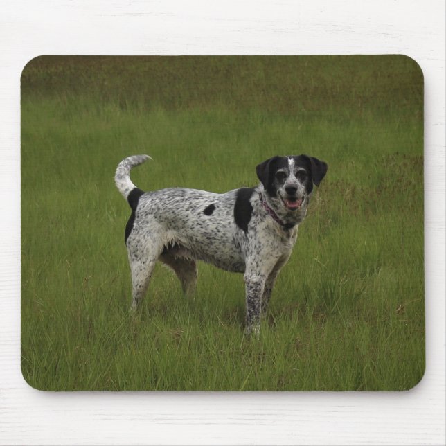 Ren glädje musmatta (Framsidan)