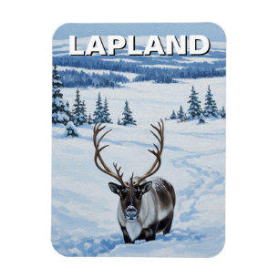 Ren i Lappland Finland Resa Magnet