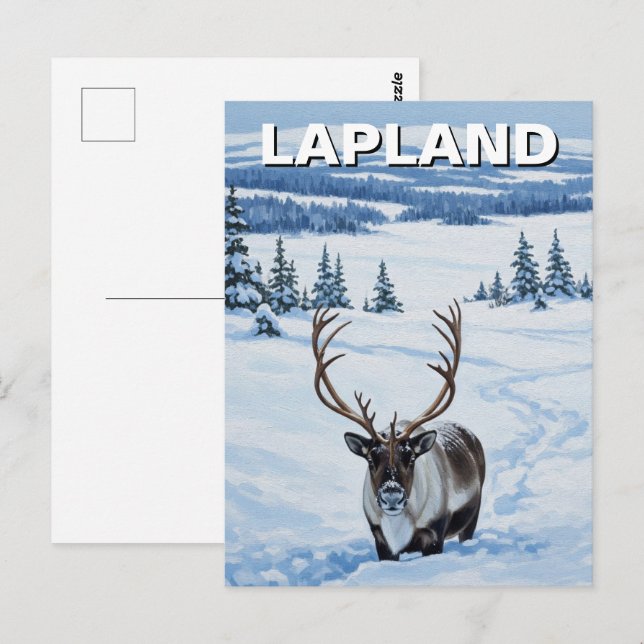 Ren i Lappland Finland Resa Vykort (Fram/baksida)