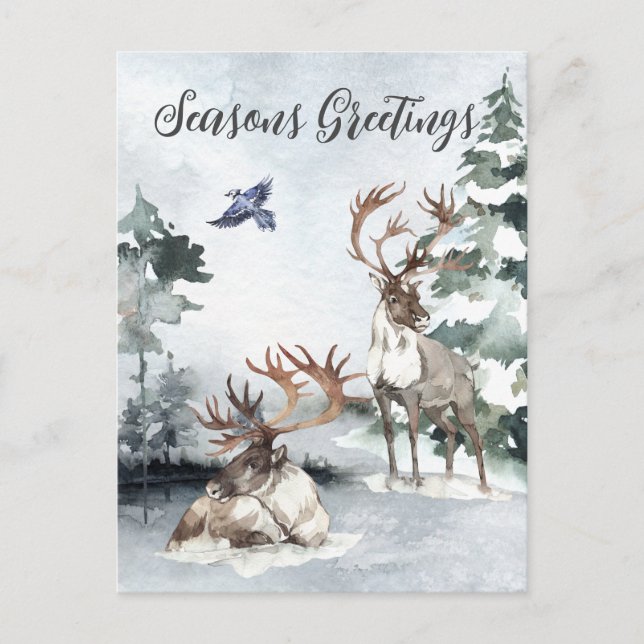 Ren Jul Vinterlandskap Akvarell Vykort (Framsida)