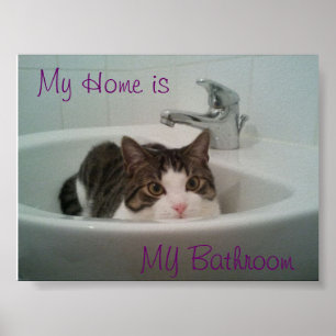 Ren katt poster