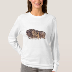 Ren klippa stigning ovannämnda moln tee shirt