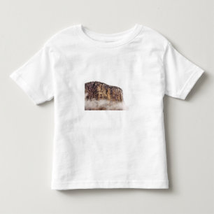 Ren klippa stigning ovannämnda moln tee shirt