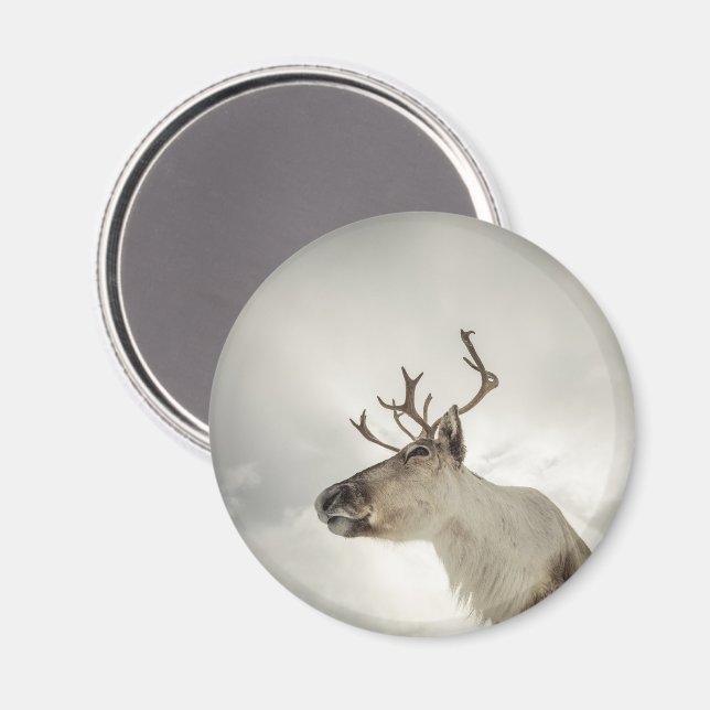 Ren Natur Foto Magnet (Front/Back)