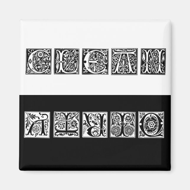 Ren och smutsig Renaissance Dishwasher Magnet (Framsidan)