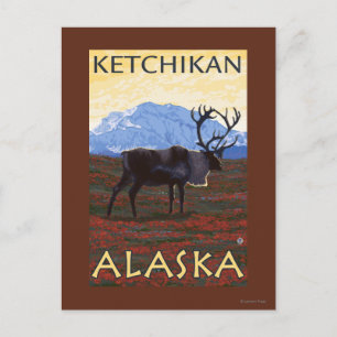 Ren Scen - Ketchikan, Alaska Vykort