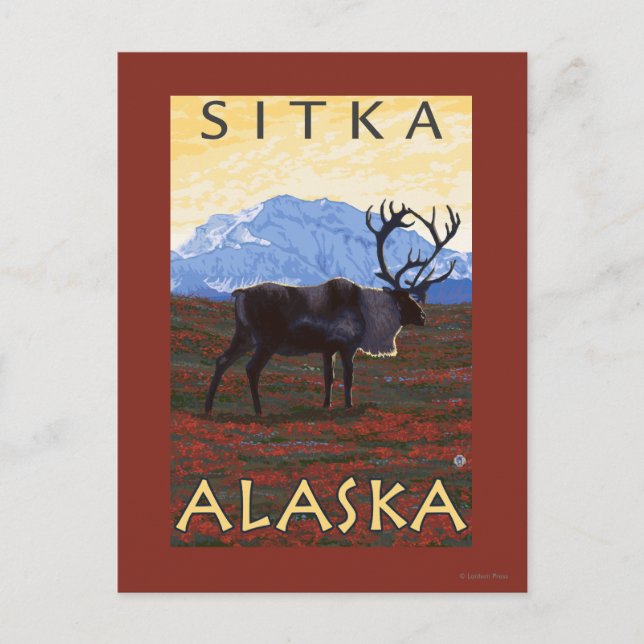 Ren Scen - Sitka, Alaska Vykort (Framsida)