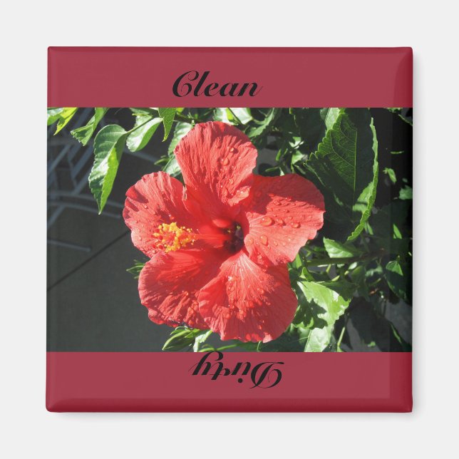 ren, smutsig magnet (Framsidan)